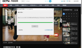 cctv视频下载,揭秘精彩瞬间