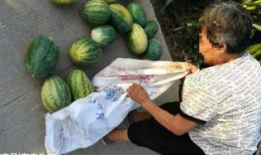 保山吃瓜最新事件爆料,最新爆料揭秘惊人内幕